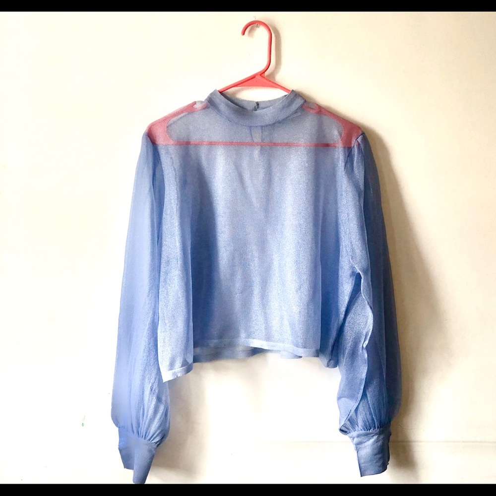 NWOT Sheer Baby Blue Long Sleeve Zara Blouse